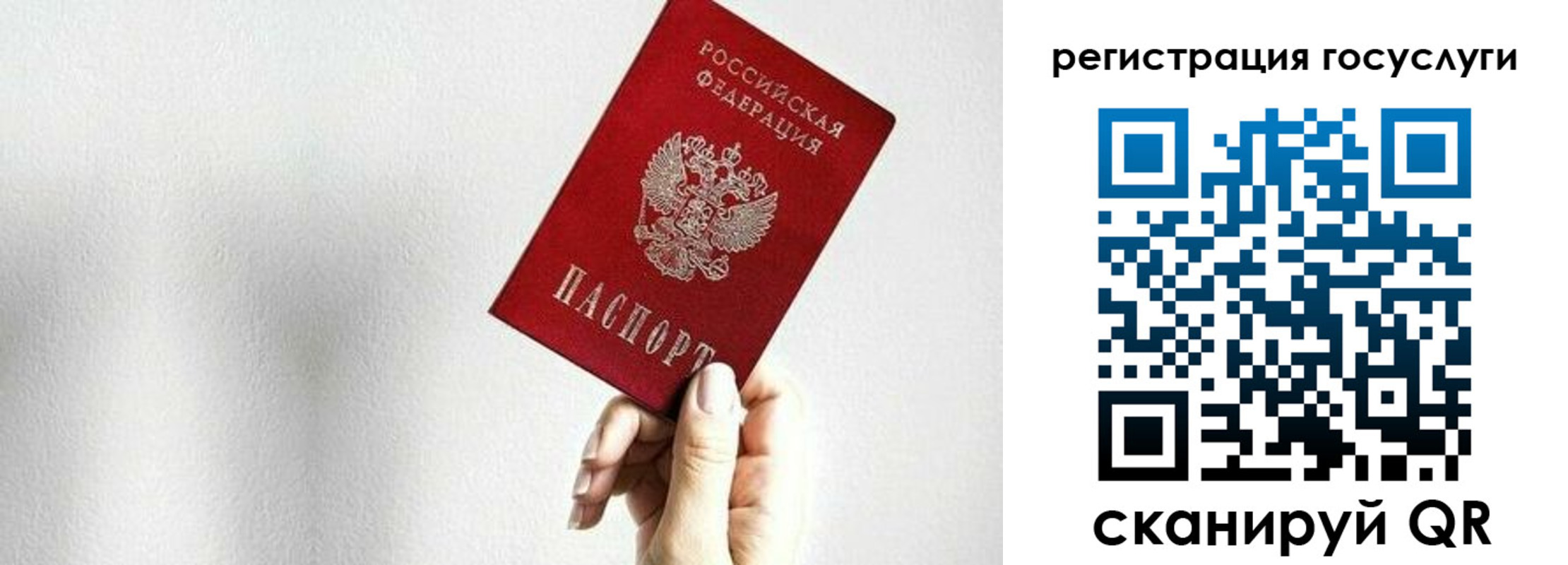 прописка гарантия в Корсакове